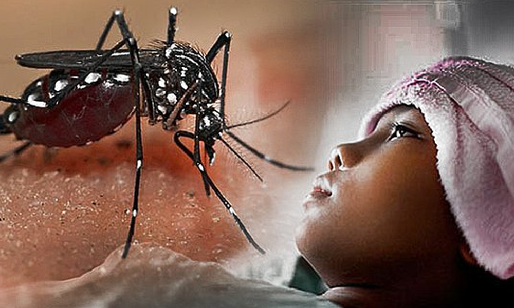 Waspada! Infeksi Demam Berdarah Dengue Kedua Kali Dapat Lebih Berbahaya