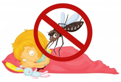 Cegah Demam Berdarah Dengue dengan 3M Plus dan Vaksinasi