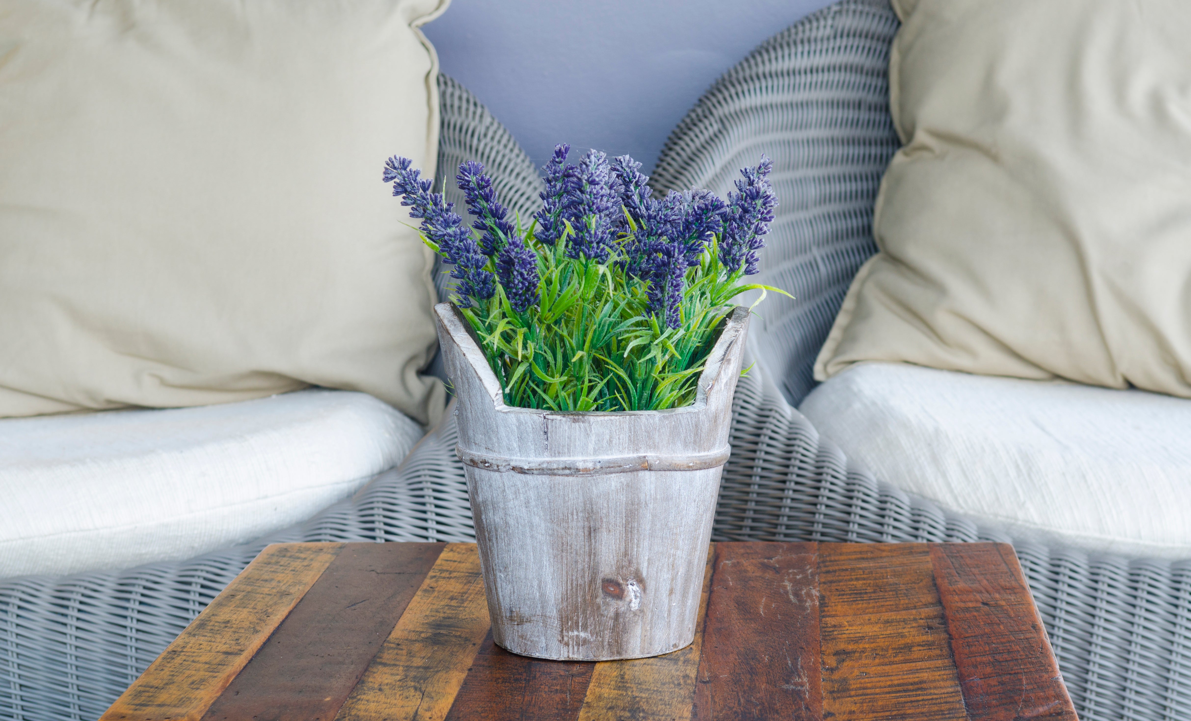 living-room-sofa-with-coffee-table-flower